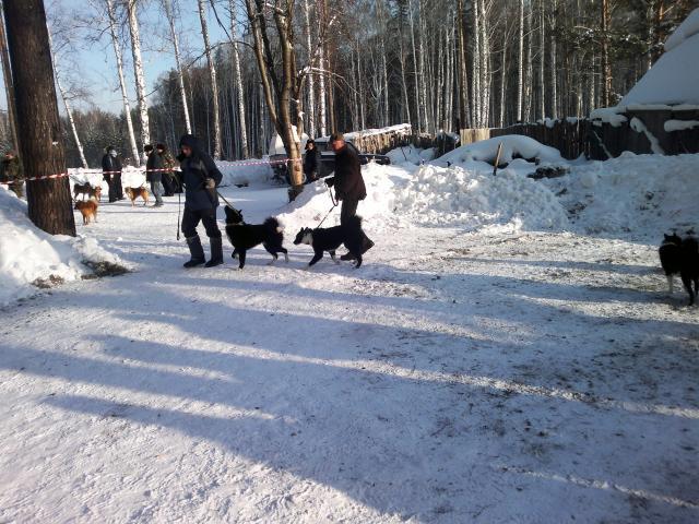 2013-01-26-437.jpg